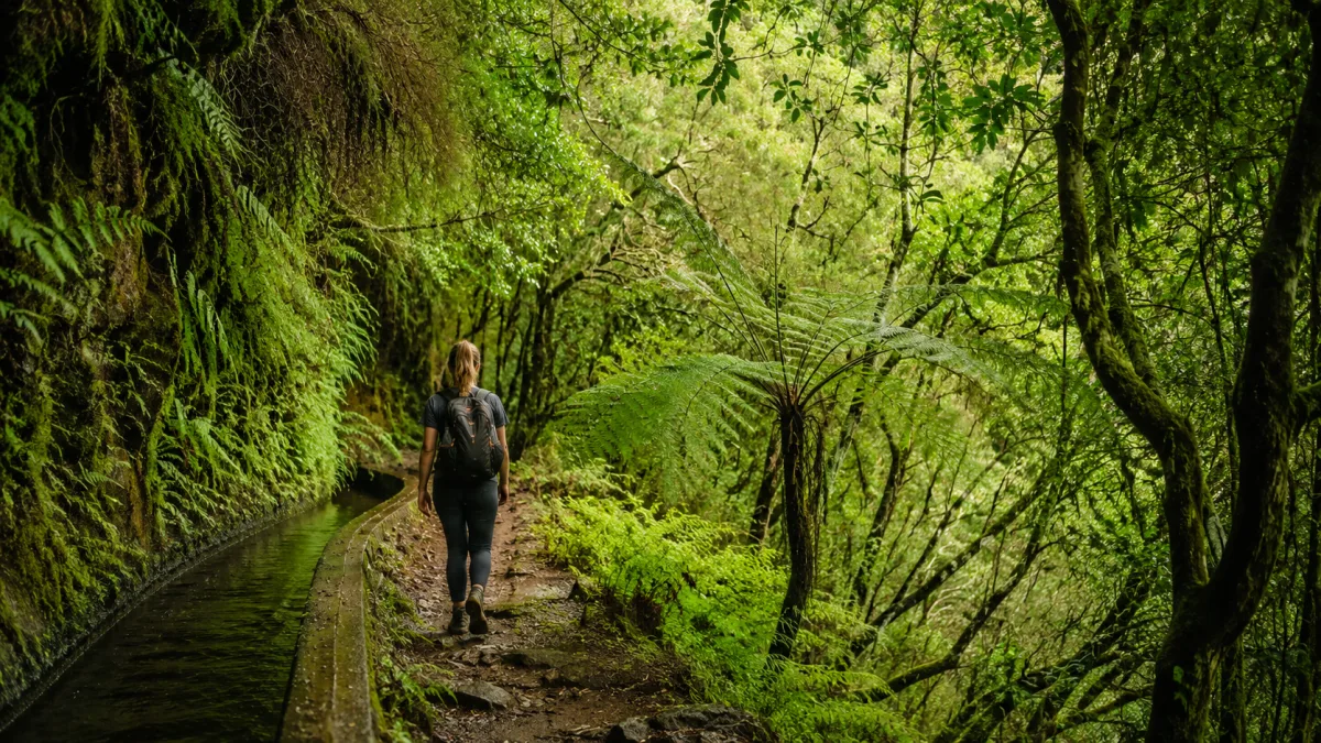 Las mejores levadas de Madeira: rutas, cuál elegir y reservas