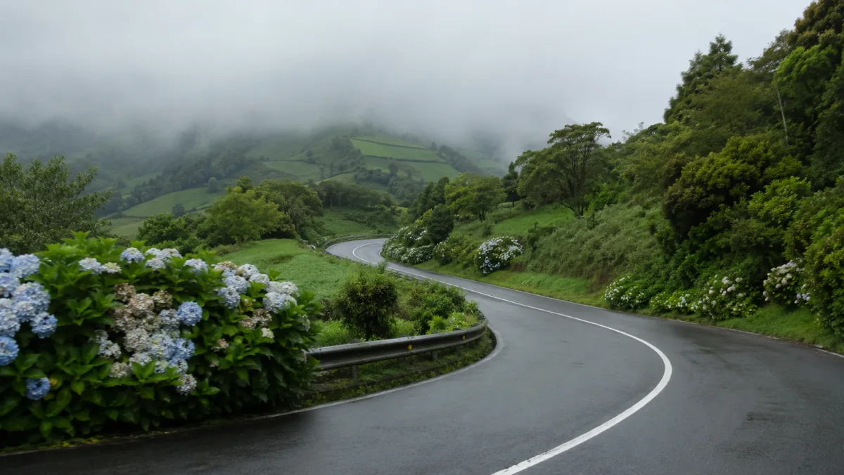 Carretera húmeda serpenteando entre prados verdes y hortensias azules con niebla baja sobre las colinas, São Miguel, Azores